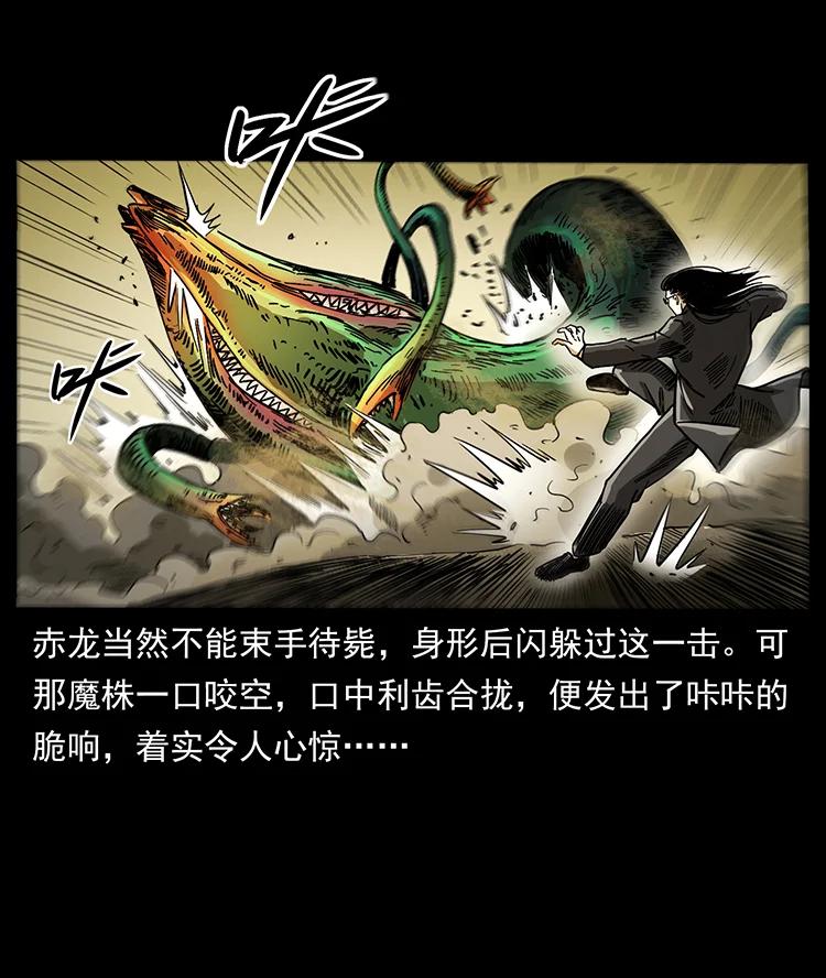390 斩草除根25