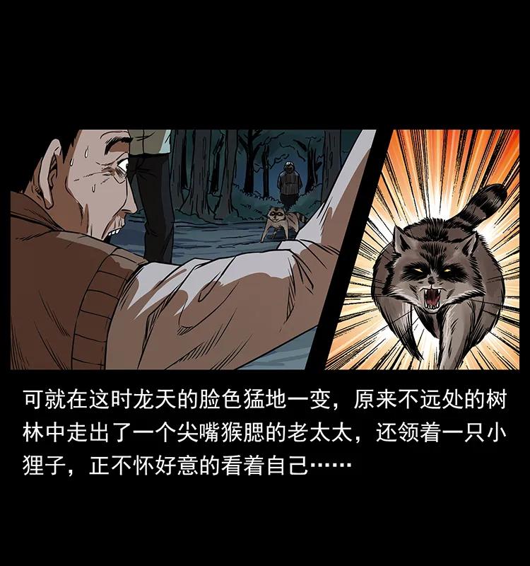 203 命丧龙洞14