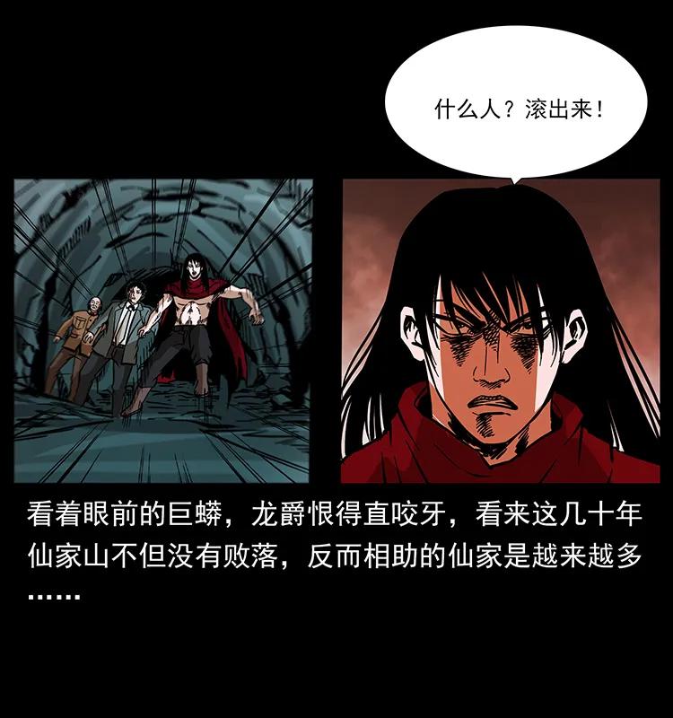 189 龙家的实力14