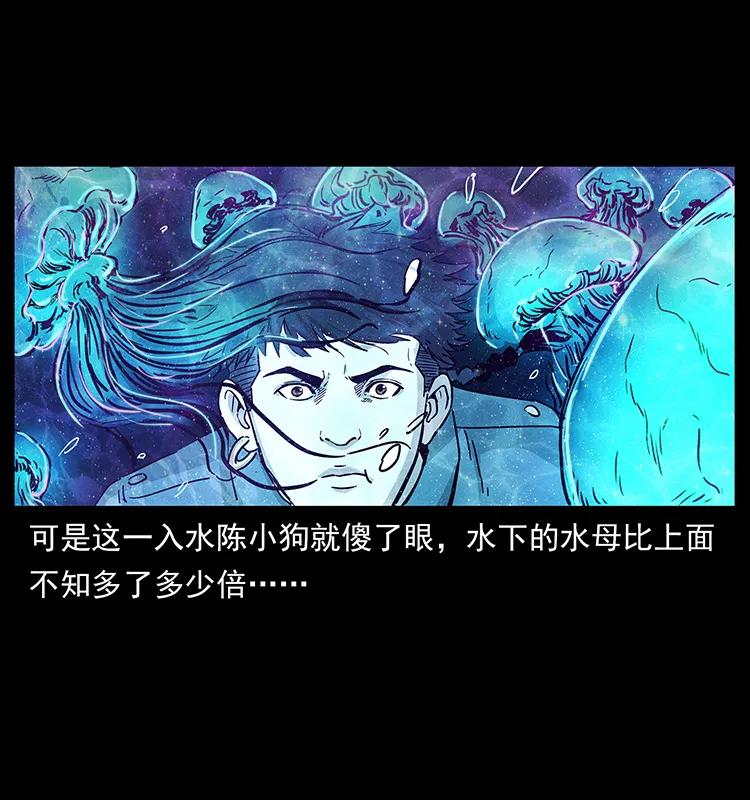 240 意外频发的诱捕21