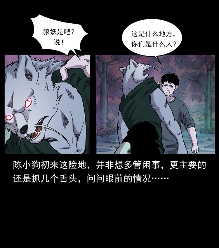 490 黑暗森林27