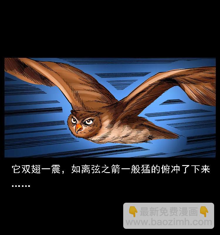 088 勾魂鸟夜枭25