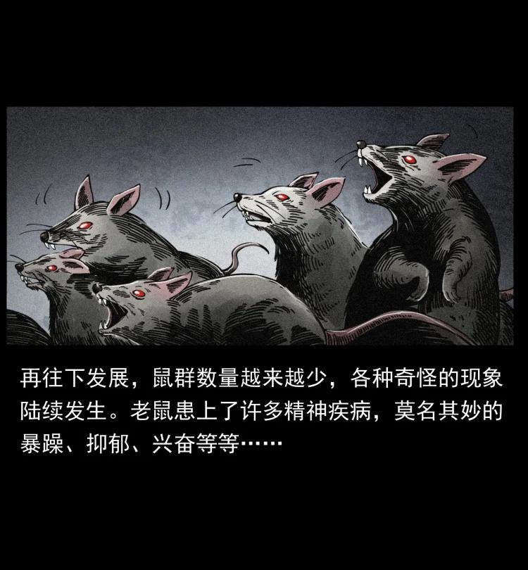 394 殇47