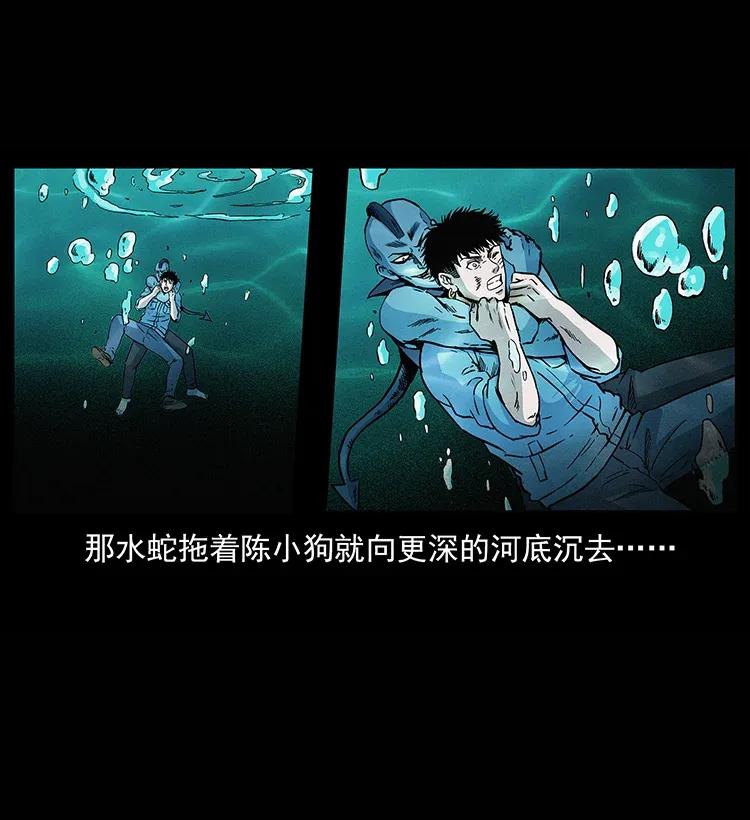 285 水蛟一族31