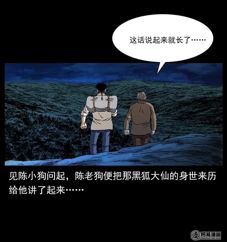 142 黑狐11