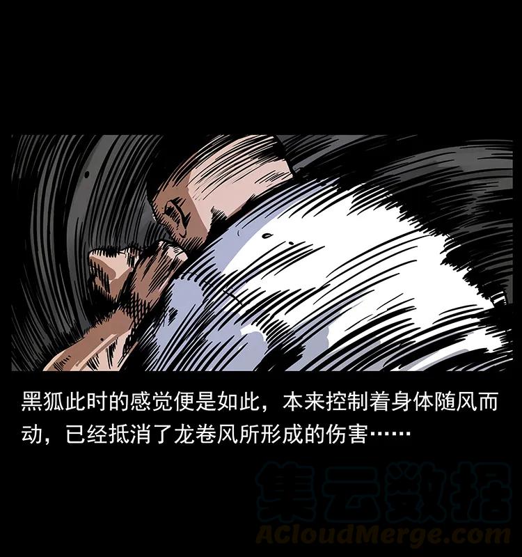 199 黑狐不好惹24