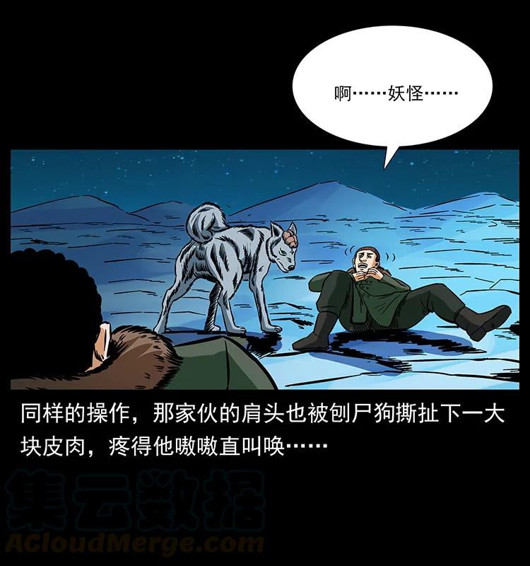 170 布局72