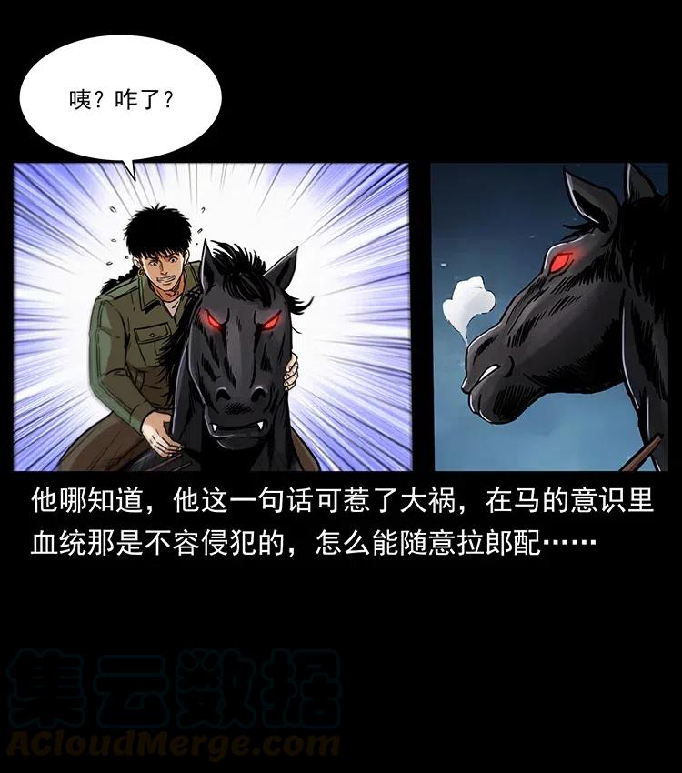 326 妖驹乌云48