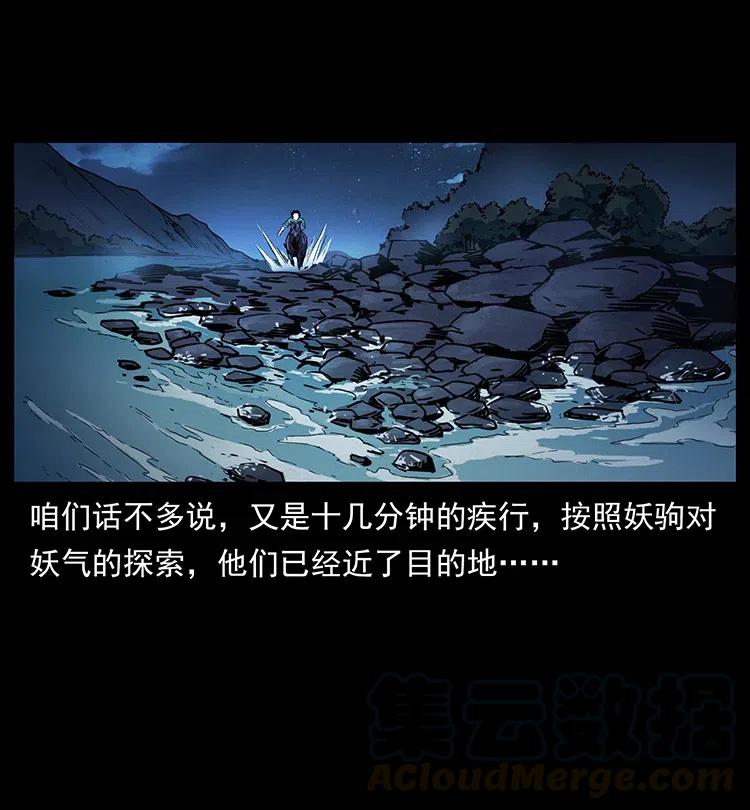 370 乌翅凤凰21