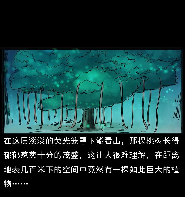 082 鬼桃树25