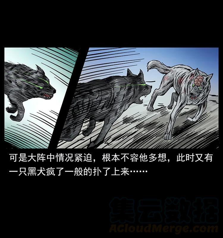 252 危机！危机36