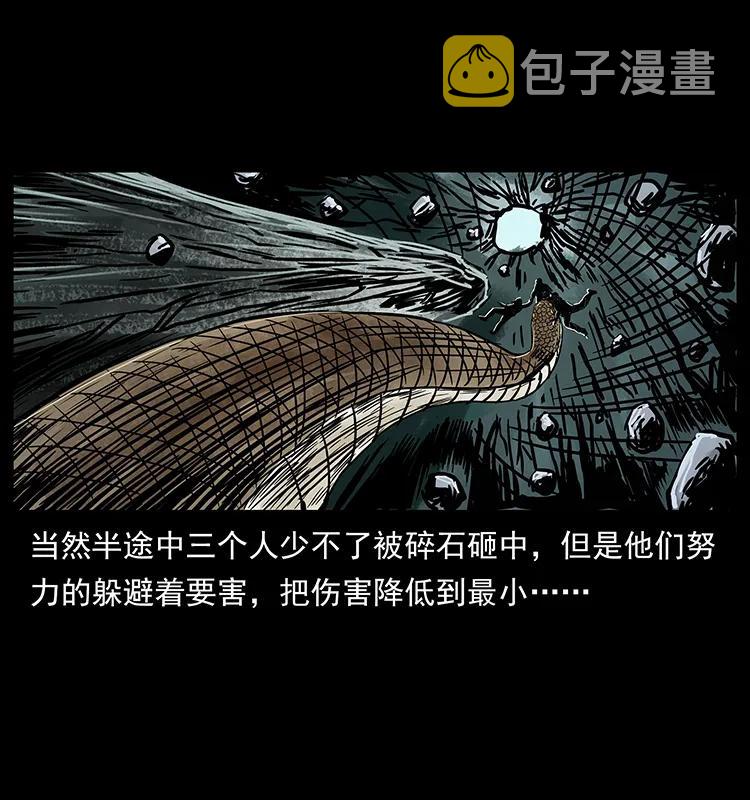 220 漠北白狼王34
