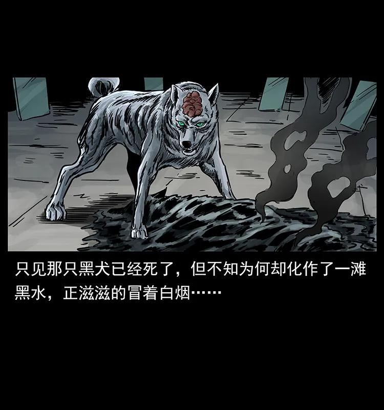 252 危机！危机17
