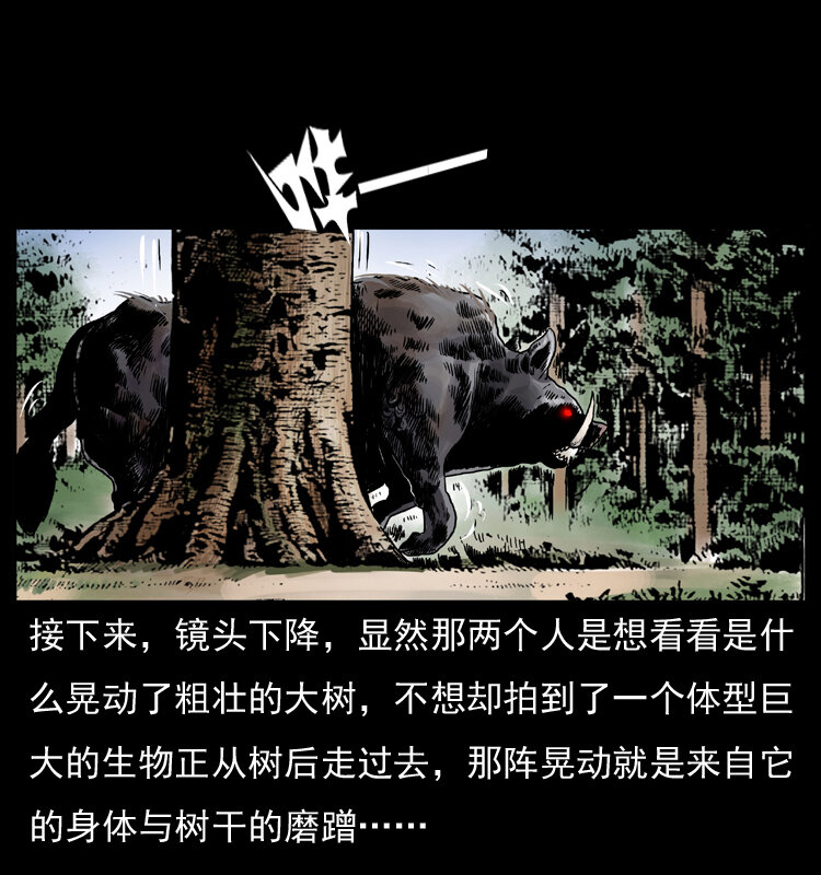 047 接龙骨36