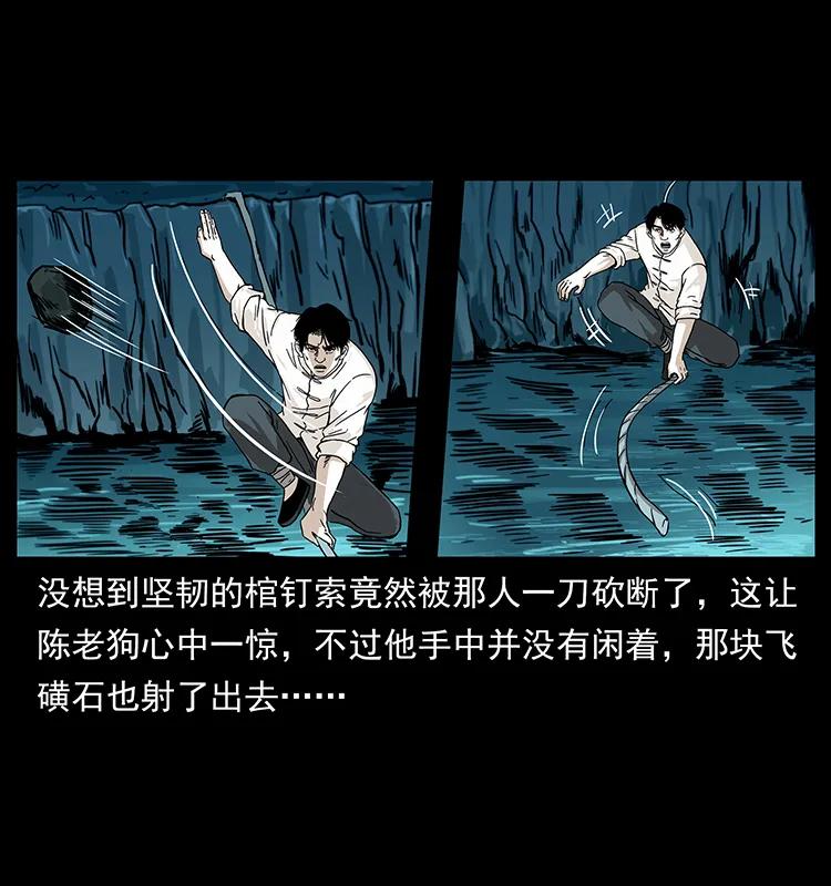231 东海木龙41