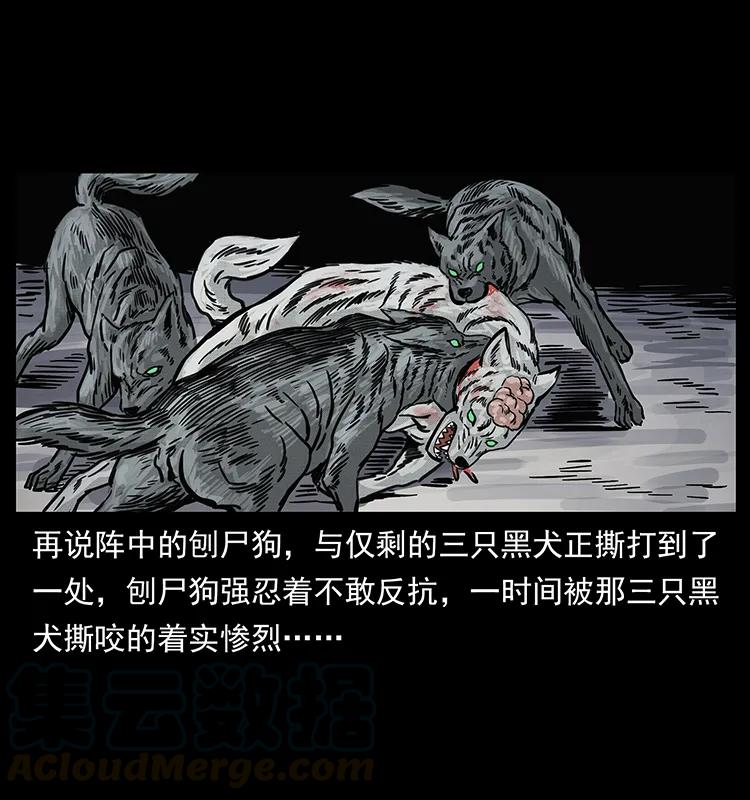 252 危机！危机52