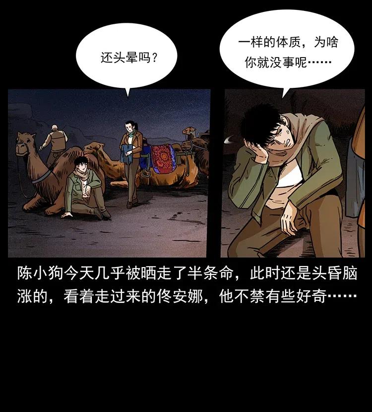 318 沙漠秃鹰13