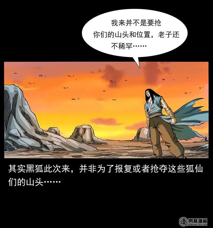 142 黑狐45