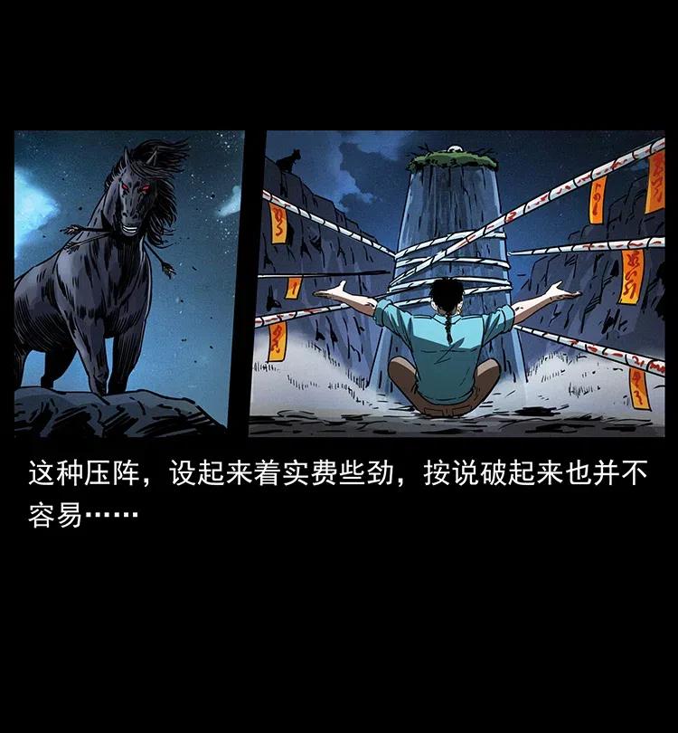 370 乌翅凤凰31