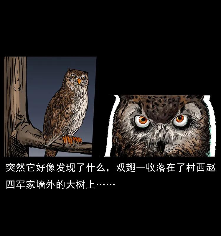 088 勾魂鸟夜枭2