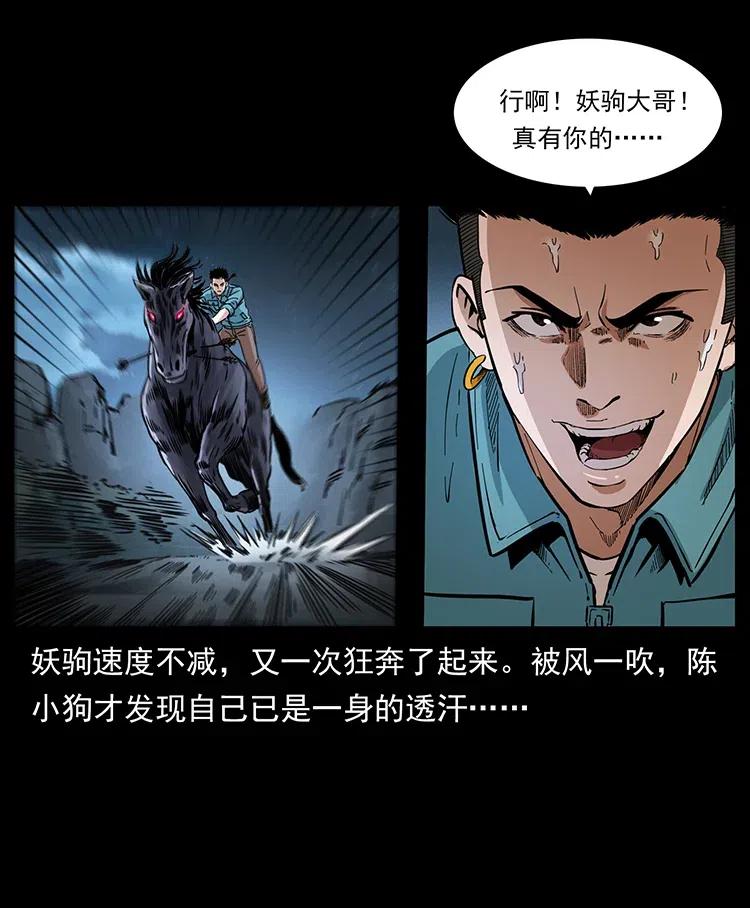 370 乌翅凤凰19