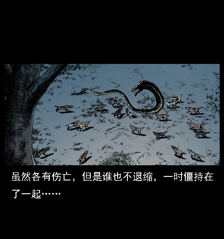 029 斗土蛟53