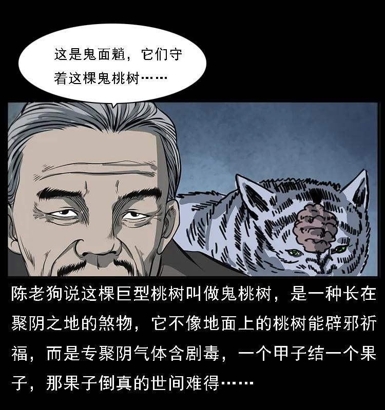 082 鬼桃树30