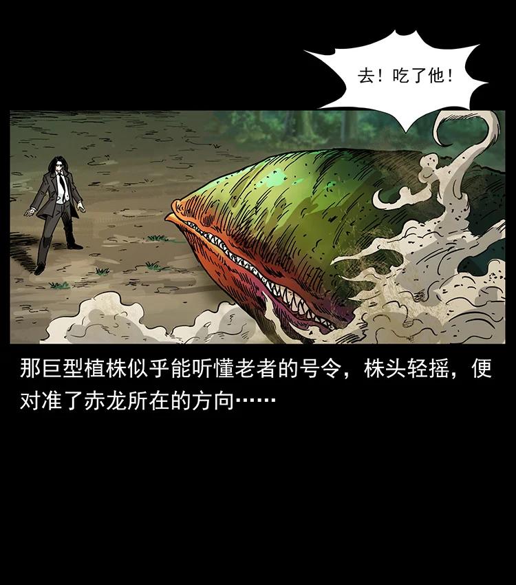 390 斩草除根23