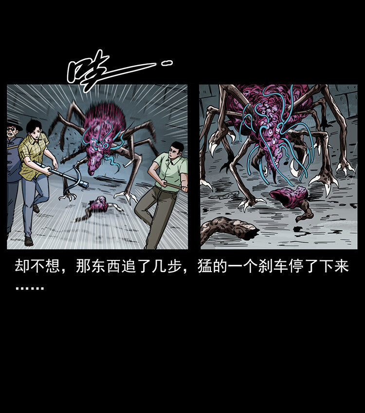 439 羽人通道12