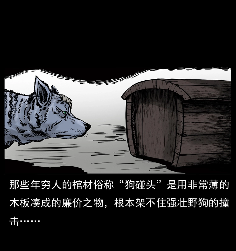 005 刨尸狗11