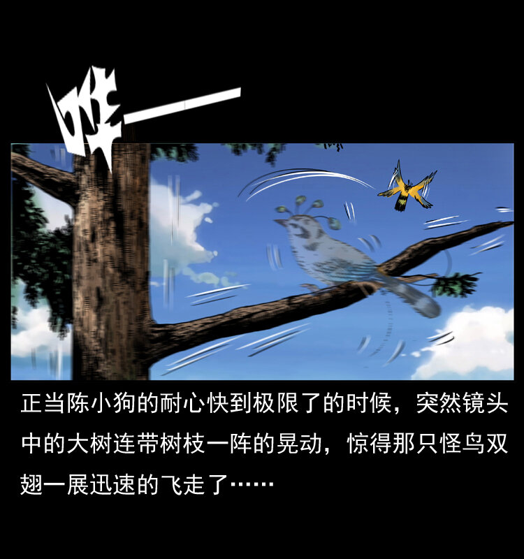 047 接龙骨35