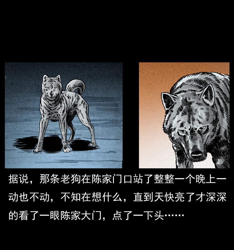 048 刨尸狗传奇168