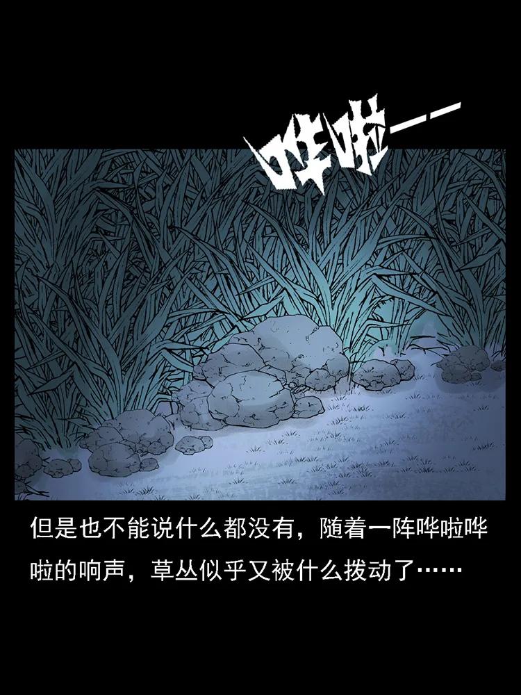 番外2 之保家白仙29