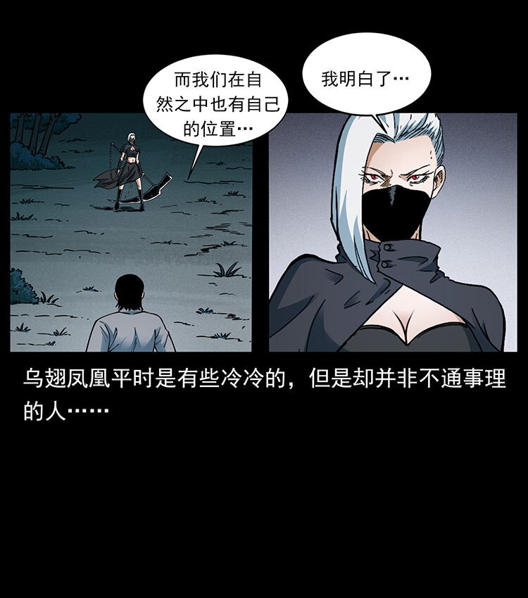 484 极地鸦族80