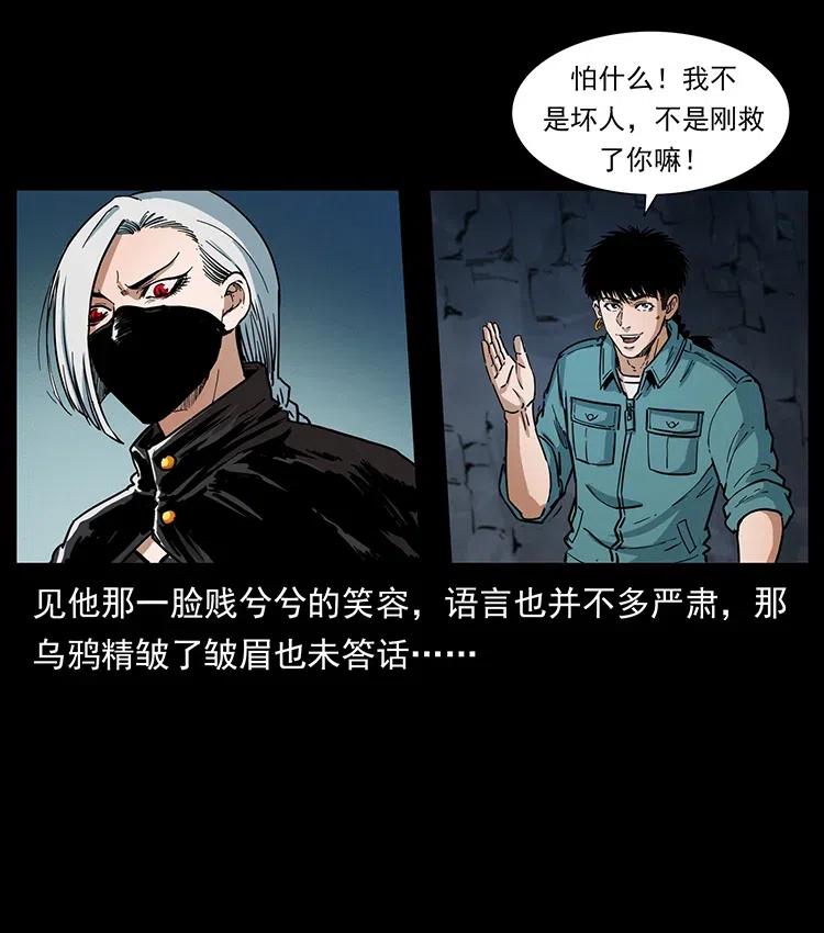 370 乌翅凤凰53