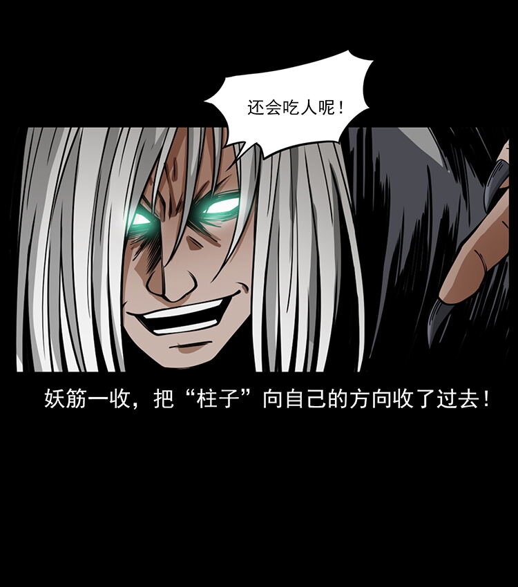 486 人与狐39