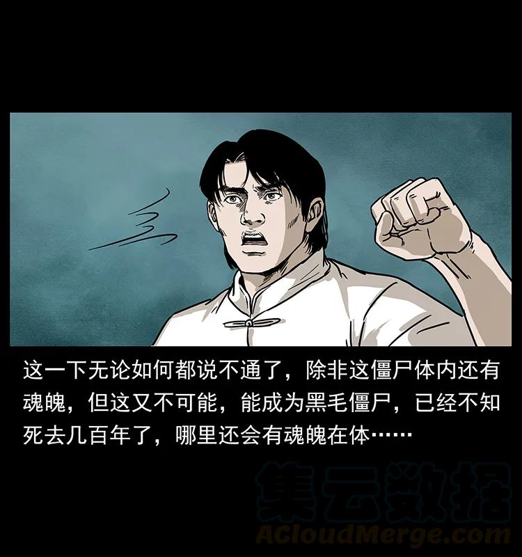 231 东海木龙28