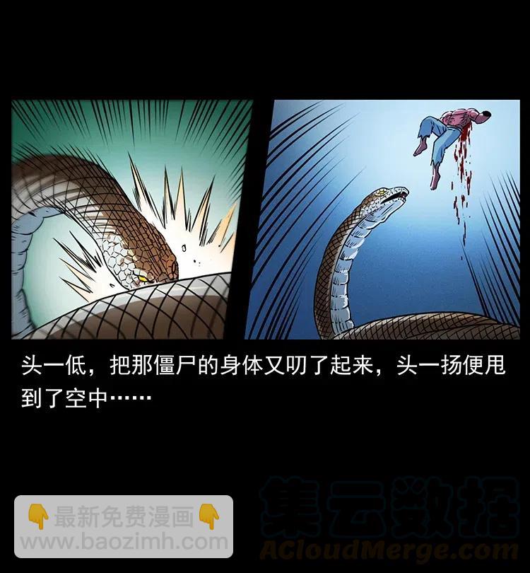 372 天击雷尸69