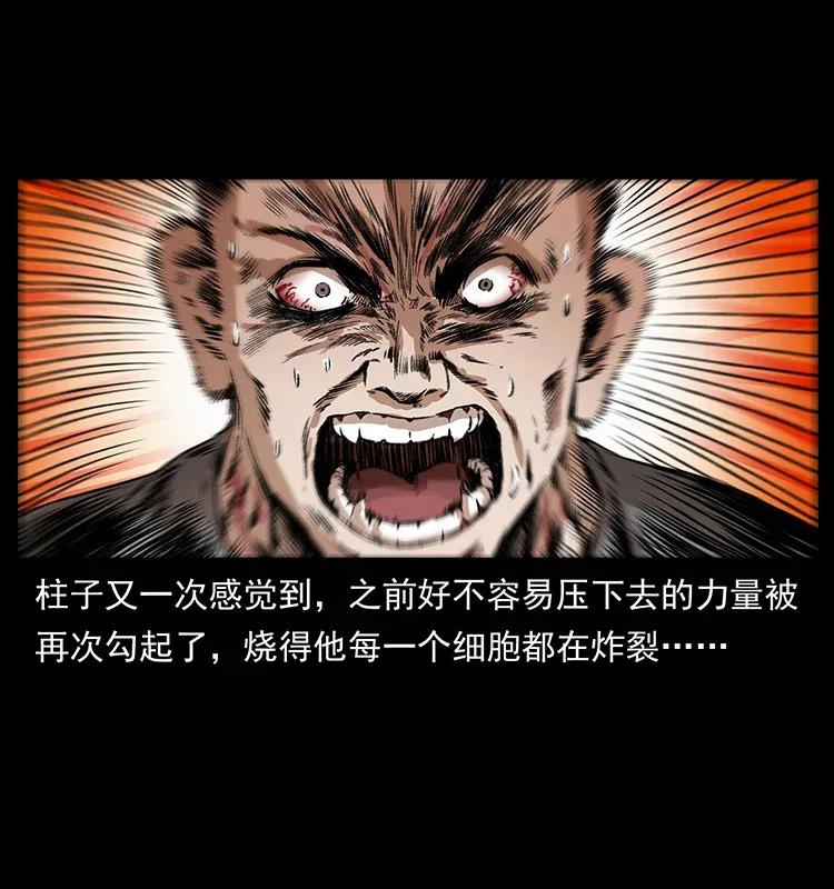281 柱子归来！62