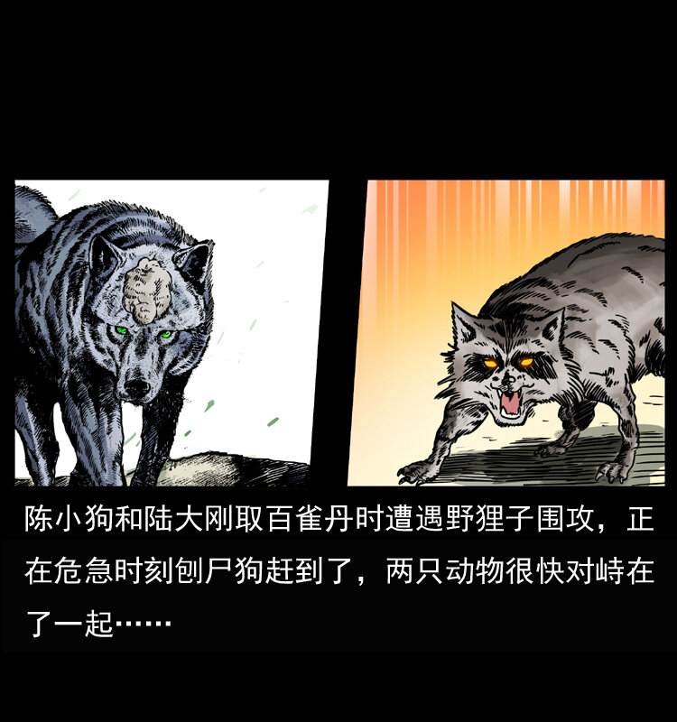 037 百雀丹（下）1