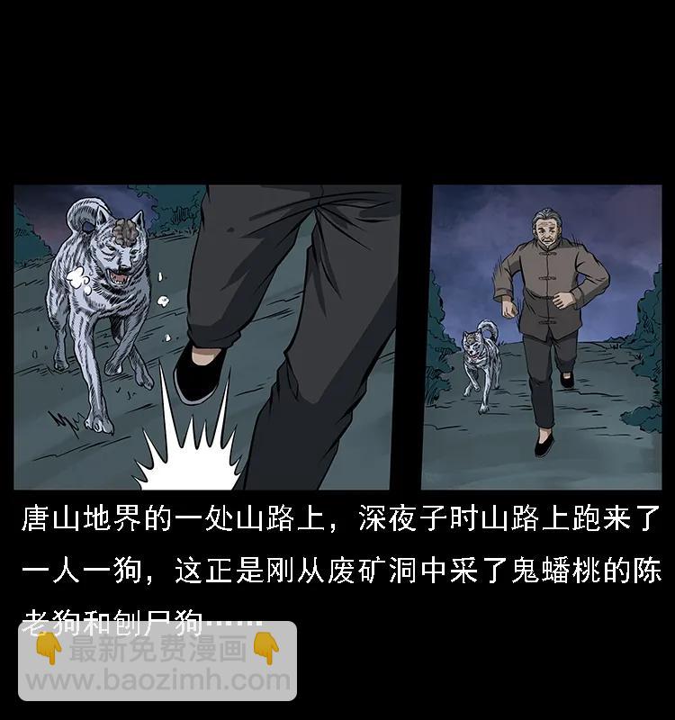084 刨尸狗的妖化之路1
