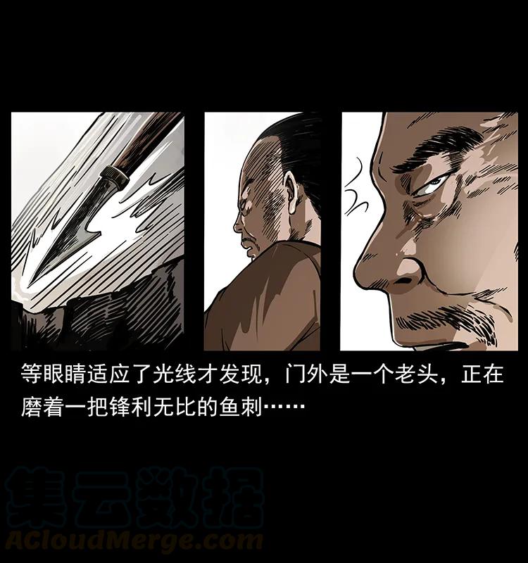 231 东海木龙52