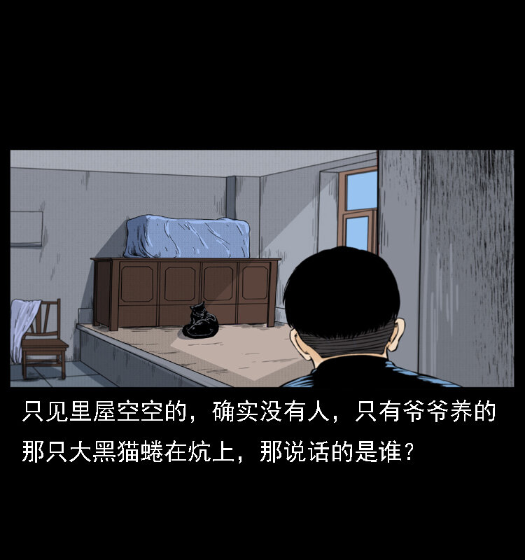 003 赵家的猫35