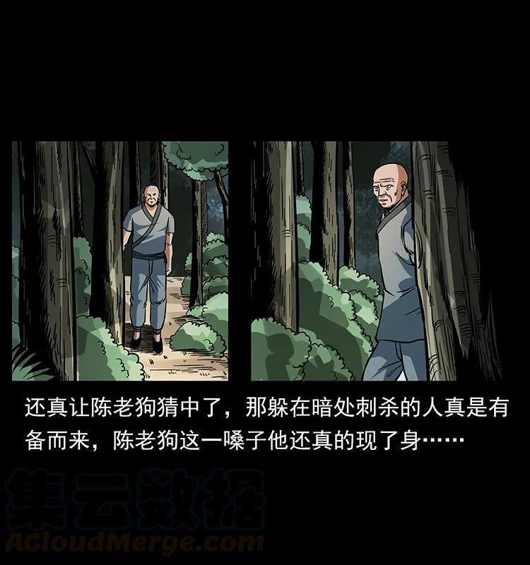 167 陈老狗遇险24
