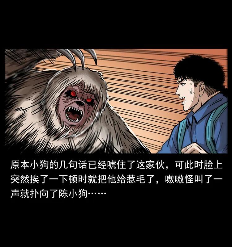 268 昆仑精灵21