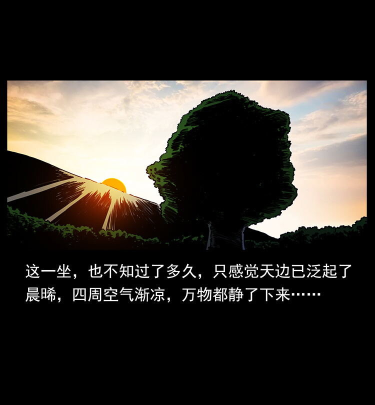 482 以树为启点62