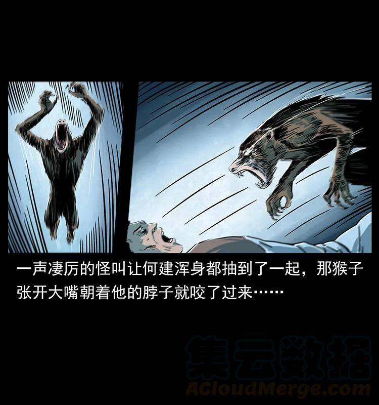 228 凶兽32