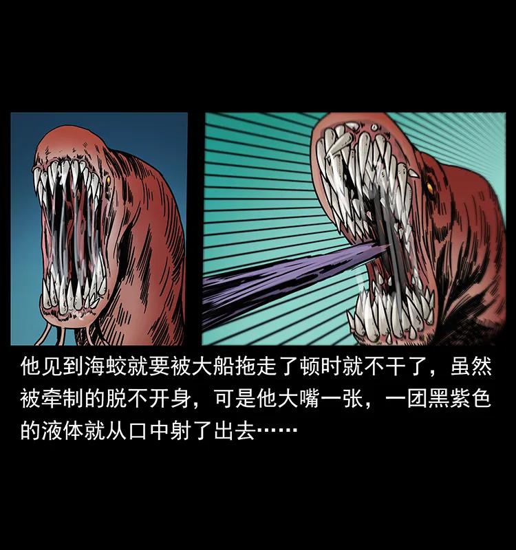 243 大战海阎王17