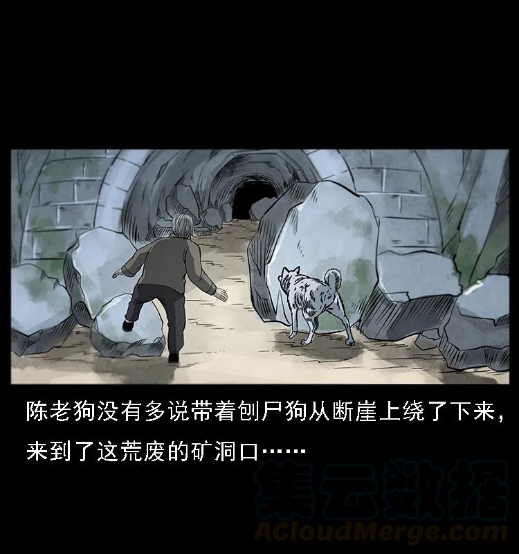 082 鬼桃树16