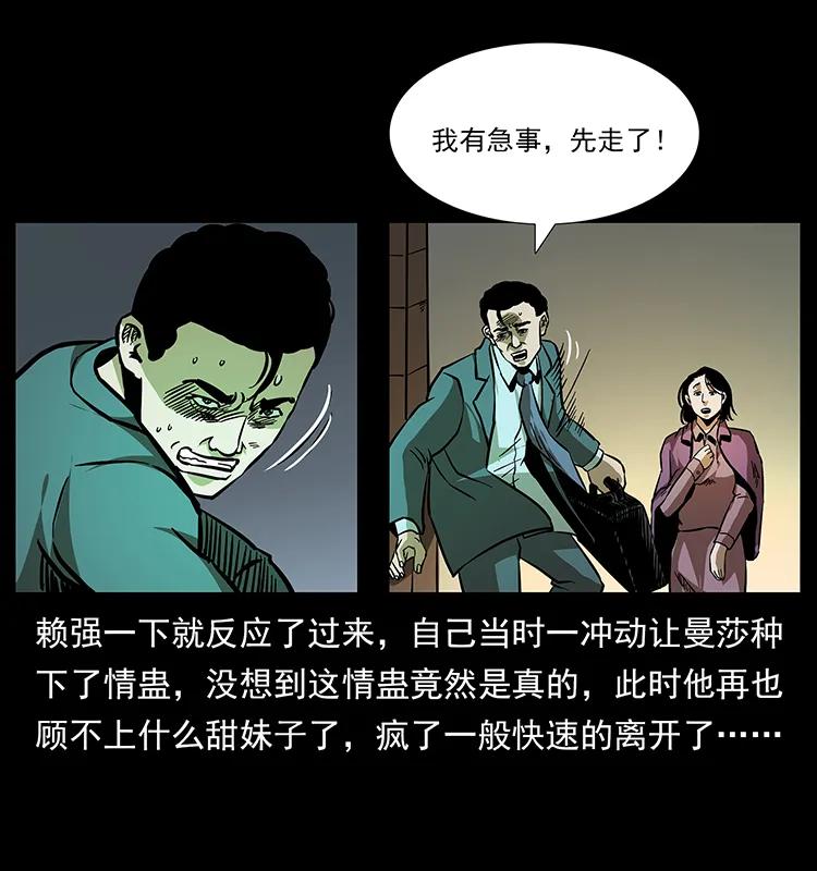 163 陈老狗下南疆73
